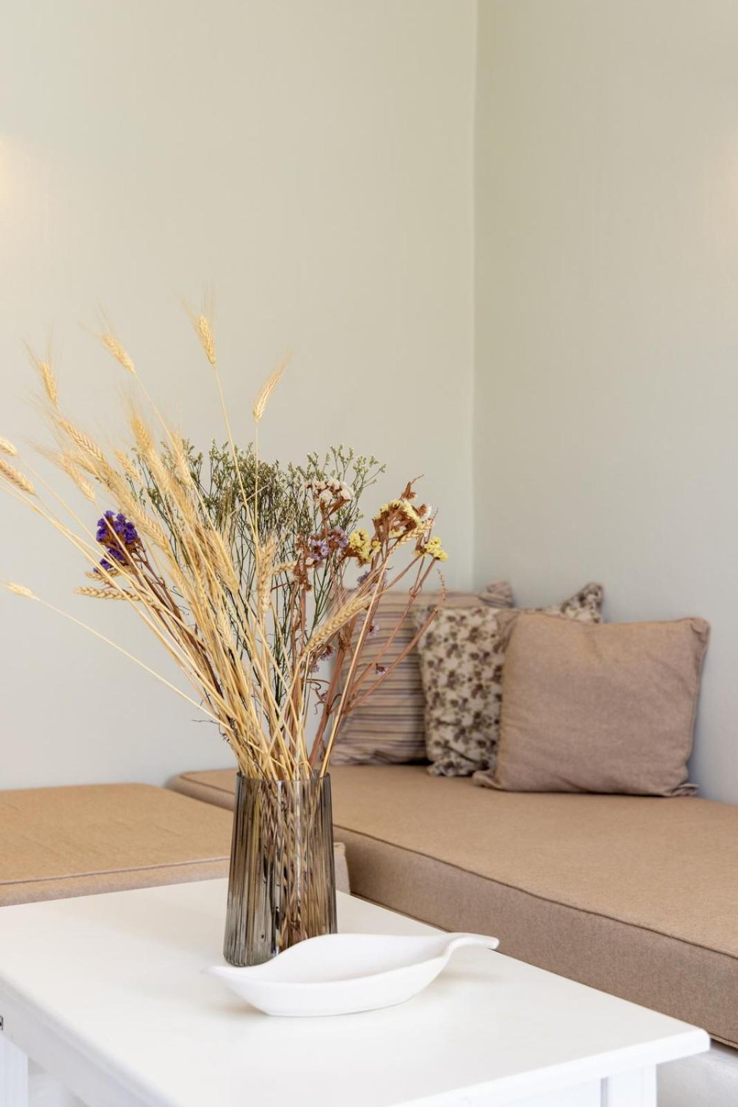 Soulmate'S Suites Tinos Kionia Extérieur photo